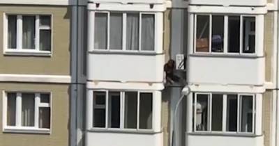 В Москве поймали «Человека-паука»