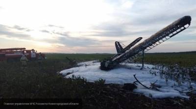 Человек погиб при падении самолета под Нижним Новгородом