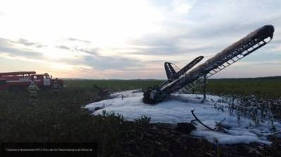 МЧС России: самолет Ан-2 упал в Нижегородской области