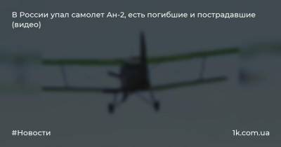 В России упал самолет Ан-2, есть погибшие и пострадавшие (видео)