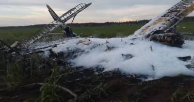 В России в результате падения самолета "Ан-2" погиб человек