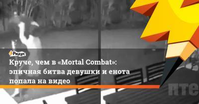 Круче, чем в «Mortal Combat»: эпичная битва девушки и енота попала на видео