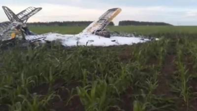 В Нижегородской области разбился Ан-2, один человек погиб