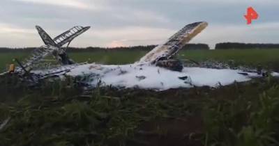 Упавший в Нижнегородской области самолёт обрабатывал поля