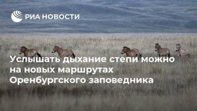 Услышать дыхание степи можно на новых маршрутах Оренбургского заповедника