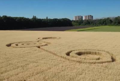 На полях страны: в Воронеже обнаружили подозрительные круги на пшенице