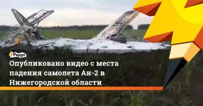 Опубликовано видео с места падения самолета Ан-2 в Нижегородской области