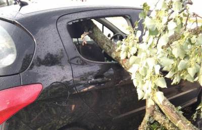 Покореженные авто, сорванные крыши, вырванные деревья: последствия стихии попали на фото