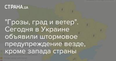 "Грозы, град и ветер". Сегодня в Украине объявили штормовое предупреждение везде, кроме запада страны