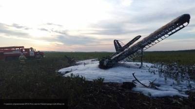 Опубликовано видео с места крушения Ан-2 в Нижегородской области