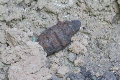 В Ярославском районе копали картошку, а выкопали гранату