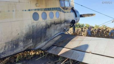 Самолет упал в Нижегородской области, есть погибшие