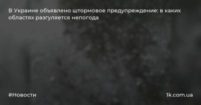 В Украине объявлено штормовое предупреждение: в каких областях разгуляется непогода
