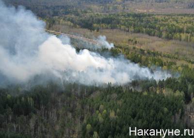 Лесной пожар на перевале Дятлова в Свердловской области полностью потушен