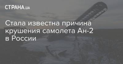 Стала известна причина крушения самолета Ан-2 в России