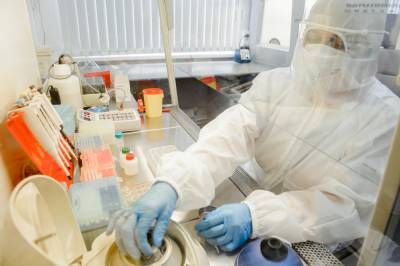 За сутки у 119 человек в Воронежской области выявили коронавирус
