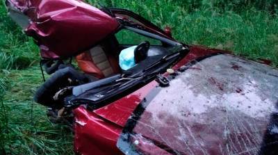 В Витебске легковушка врезалась в дерево, погиб пассажир