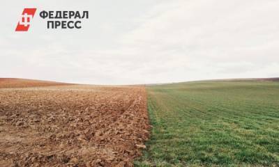 Ущерб от засухи в Новосибирской области оценивается в 500 миллионов рублей
