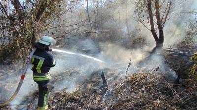 На месте пожара в Луганской области продолжается тление
