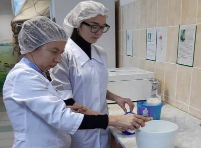 Ученые из Башкирии разработали мороженое с пыльцой и прополисом