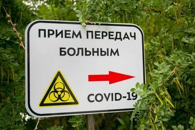 Число зараженных COVID-19 в России превысило 733 тыс. человек