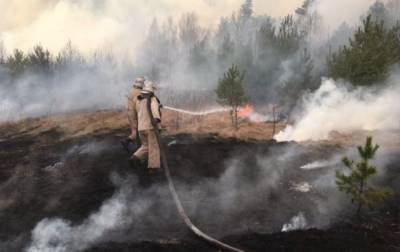 В Луганской области уже неделю тушат лесной пожар