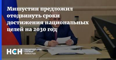 Мишустин предложил отодвинуть сроки достижения национальных целей на 2030 год