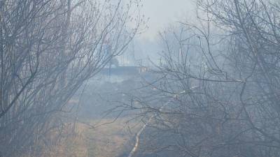 В Тюменской области тушат лесной пожар на 1,5 гектара