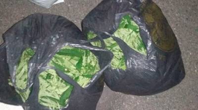 В Чечерском районе задержали пять гомельчан с 12 кг марихуаны