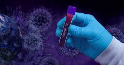 Ученые считают, что новым коронавирусом можно заражаться повторно