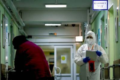 В России за сутки зафиксировали 6 537 новых случаев заражения коронавирусом