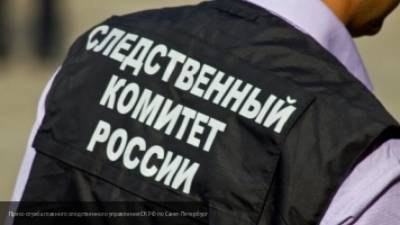 СК предъявил красноярскому бизнесмену Быкову обвинение в руководстве преступной бандой