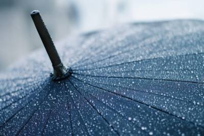 Прохладно, местами дожди: синоптик рассказала о прогнозе погоды на 14 июля