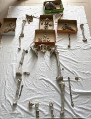 Появились первые результаты экспертизы древних костей, найденных в Спасской церкви Тюмени