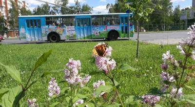 Чувашии дадут миллиард рублей на троллейбусы