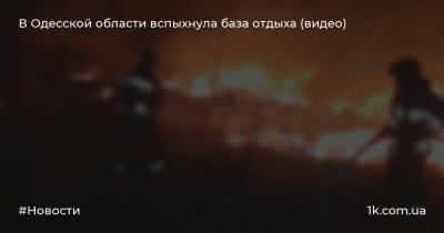 В Одесской области вспыхнула база отдыха (видео)