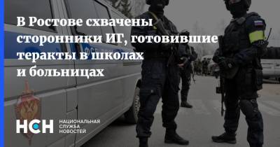 В Ростове схвачены сторонники ИГ, готовившие теракты в школах и больницах
