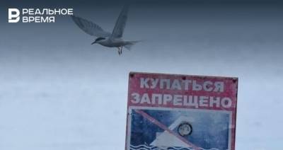 С начала лета на водоемах Татарстана погибли 36 человек