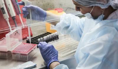 В России сделали свыше 23 млн тестов на коронавирус