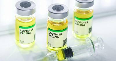 Стали известны сроки поступления вакцины от COVID-19 в оборот