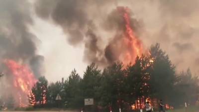 Пожар на Луганщине предварительно переквалифицировали в ЧС государственного уровня