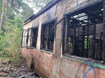 Неработающий детский лагерь горел в Воронеже