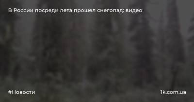 В России посреди лета прошел снегопад: видео
