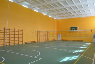 К 1 сентября в 14 школах Ленобласти отремонтируют спортивные залы