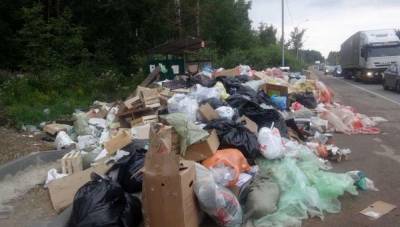 Трассу Одесса - Киев завалили мусором: вопиющие кадры