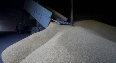 Новый урожай: украинские аграрии намолотили более 6 миллионов тонн зерна