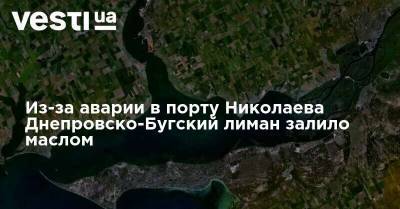 Из-за аварии в порту Николаева Днепровско-Бугский лиман залило маслом