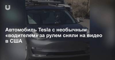 Автомобиль Tesla с необычным «водителем» за рулем сняли на видео в США