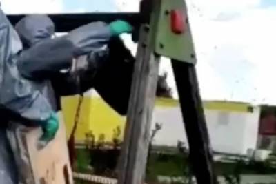 Московские спасатели убрали с детской площадки осиное гнездо