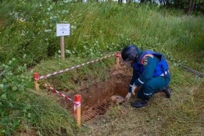 Пиротехники при обследовании территории в Тверской области обнаружили останки красноармейцев